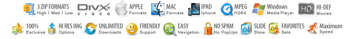 ZIP DIVX Apple MAC IPAD MPEG WINDOWS MEDIA PLAYER FLASH